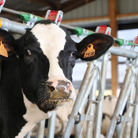 Le Thuit - F2 Plain Pied Tout Equipe A La Ferme Charleval  Exterior photo