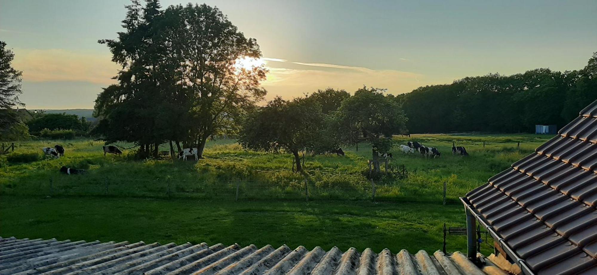 Le Thuit - F2 Plain Pied Tout Equipe A La Ferme Charleval  Exterior photo